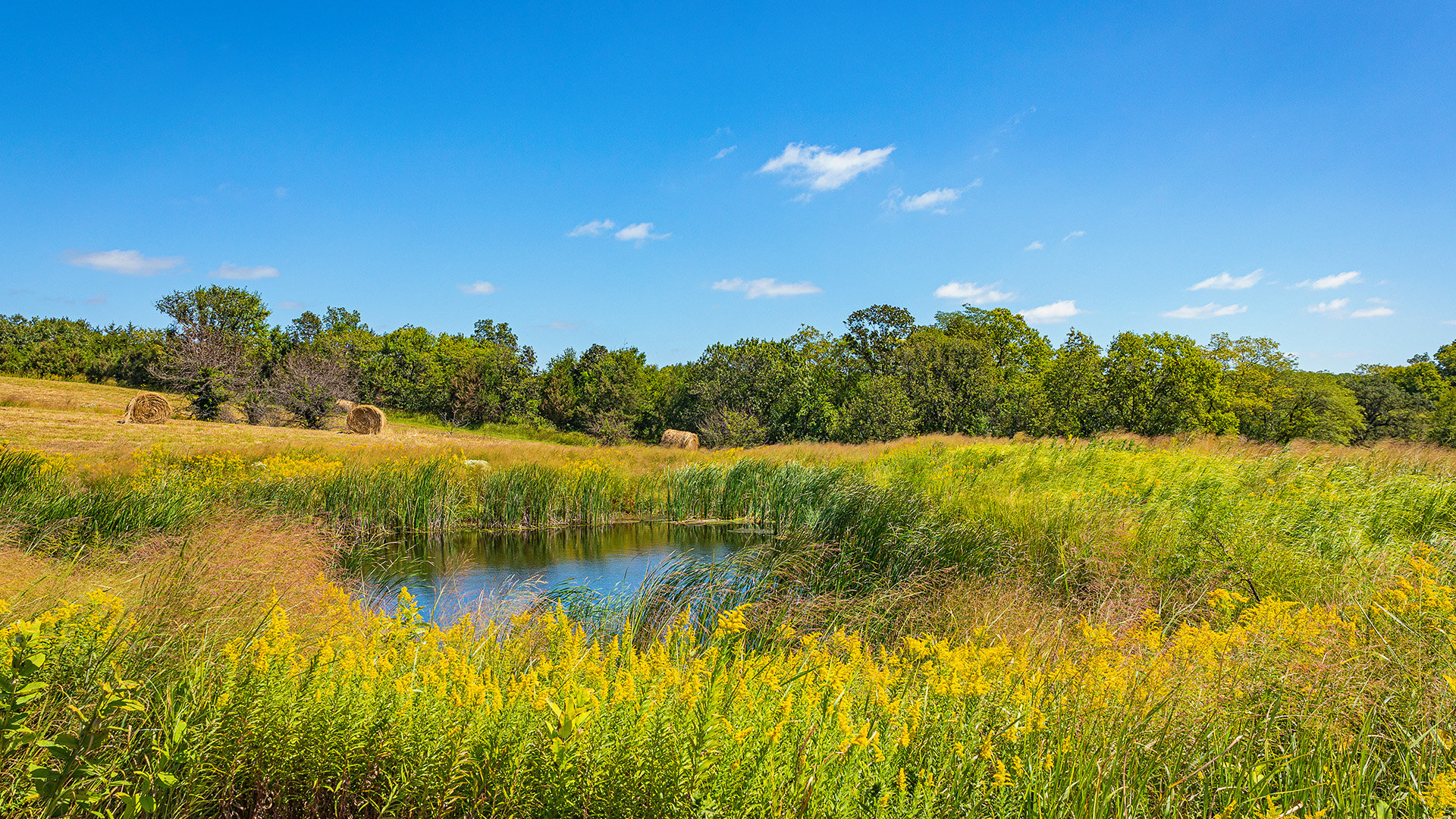 Environmental Business Examples